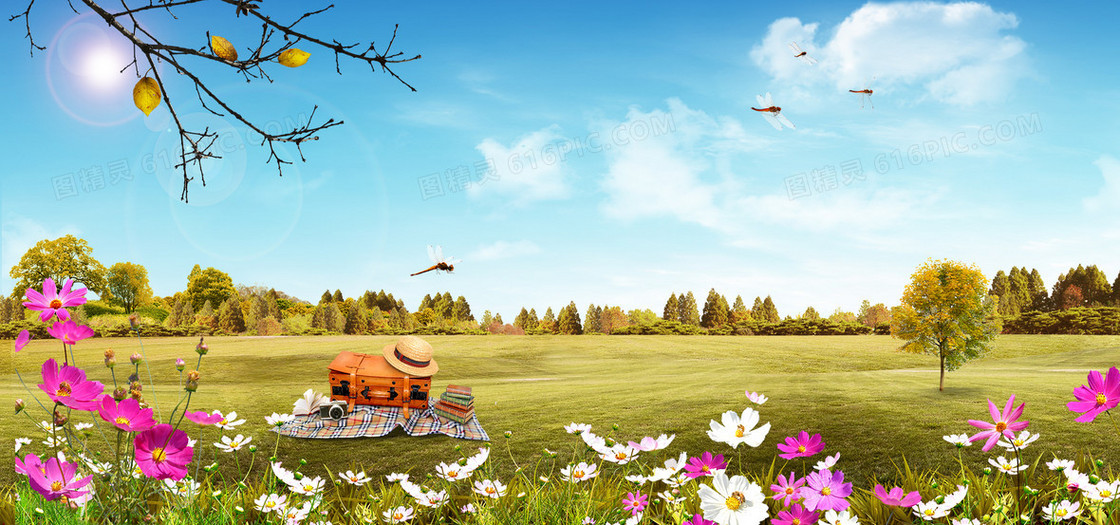 蓝天白云树木绿草地鲜花蜻蜓踏春海报banner
