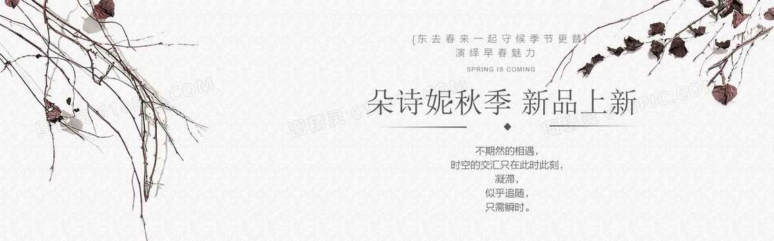 女装新品