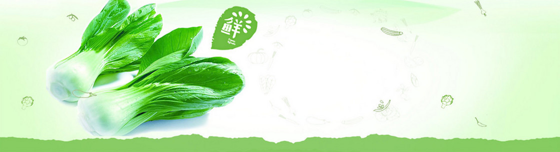 冬季简约健康蔬菜厨房绿色banner背景