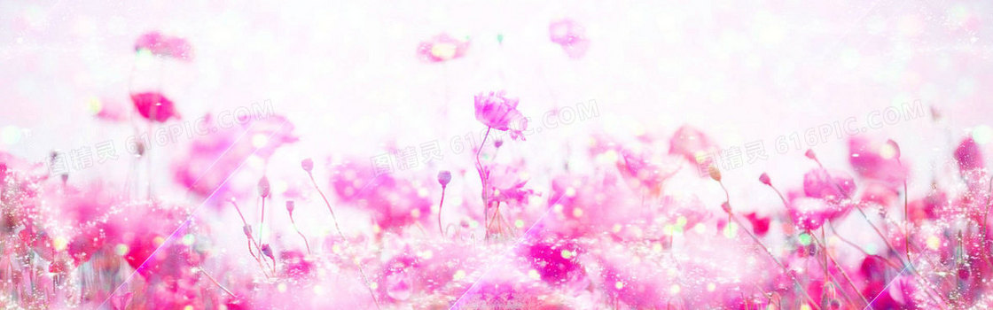 粉色淡雅花卉背景
