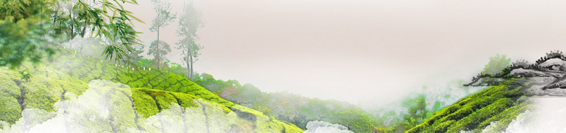 清明节春季踏青banner