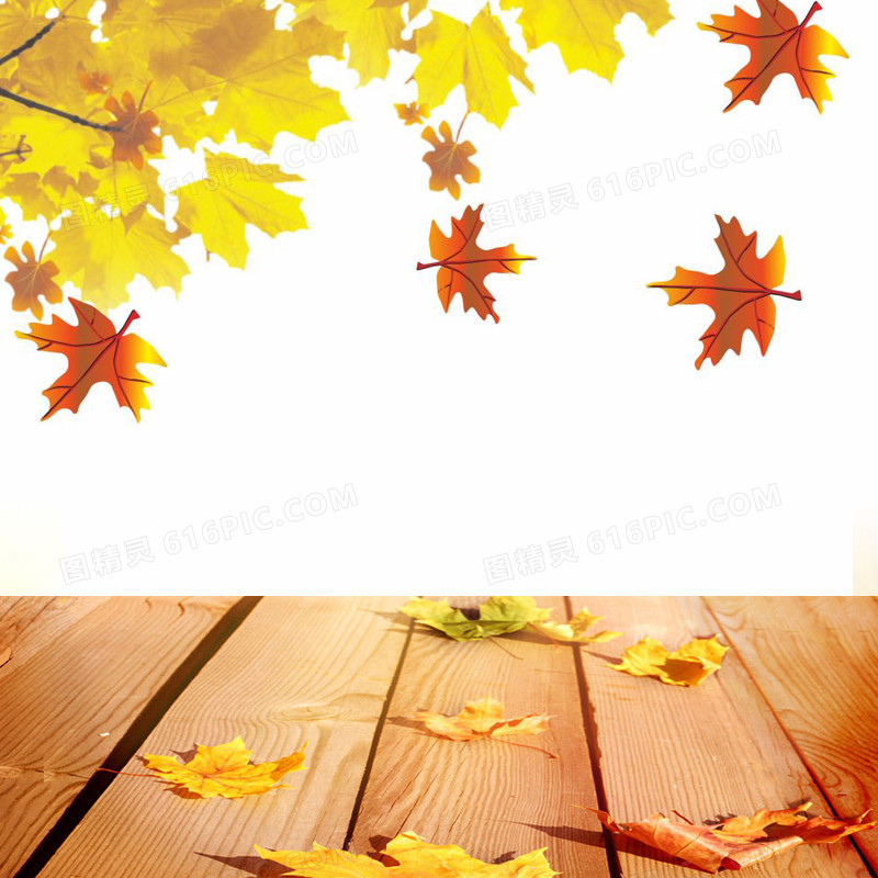 秋季枫叶木板背景图