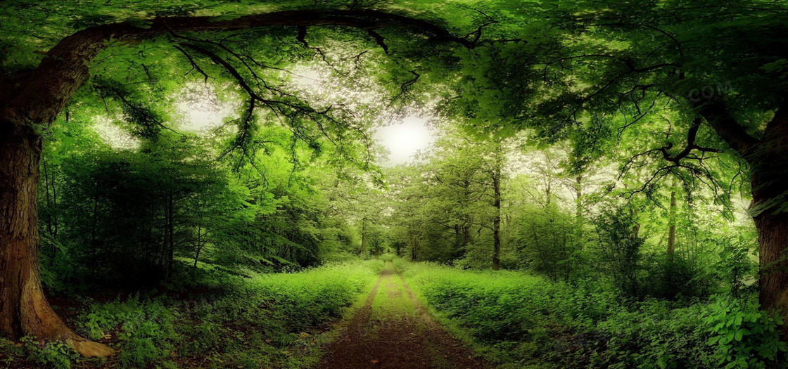 淘宝背景图