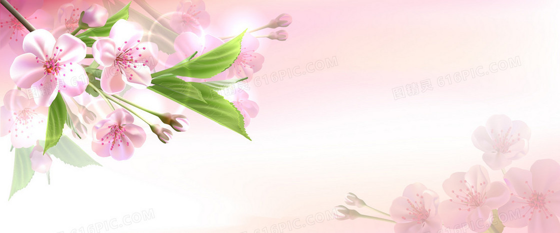 粉红花卉背景