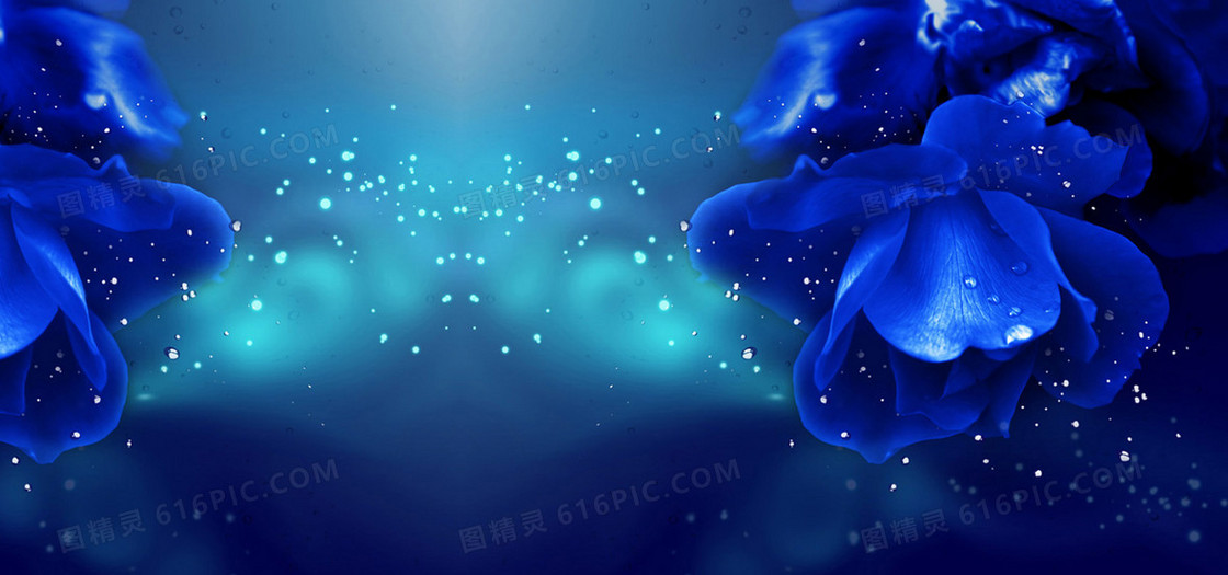 蓝色玫瑰背景