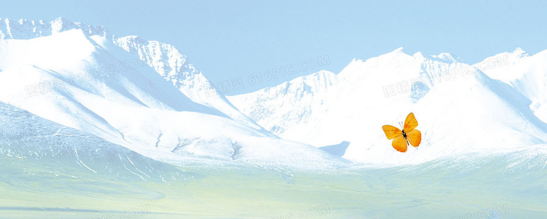 雪山蝴蝶背景