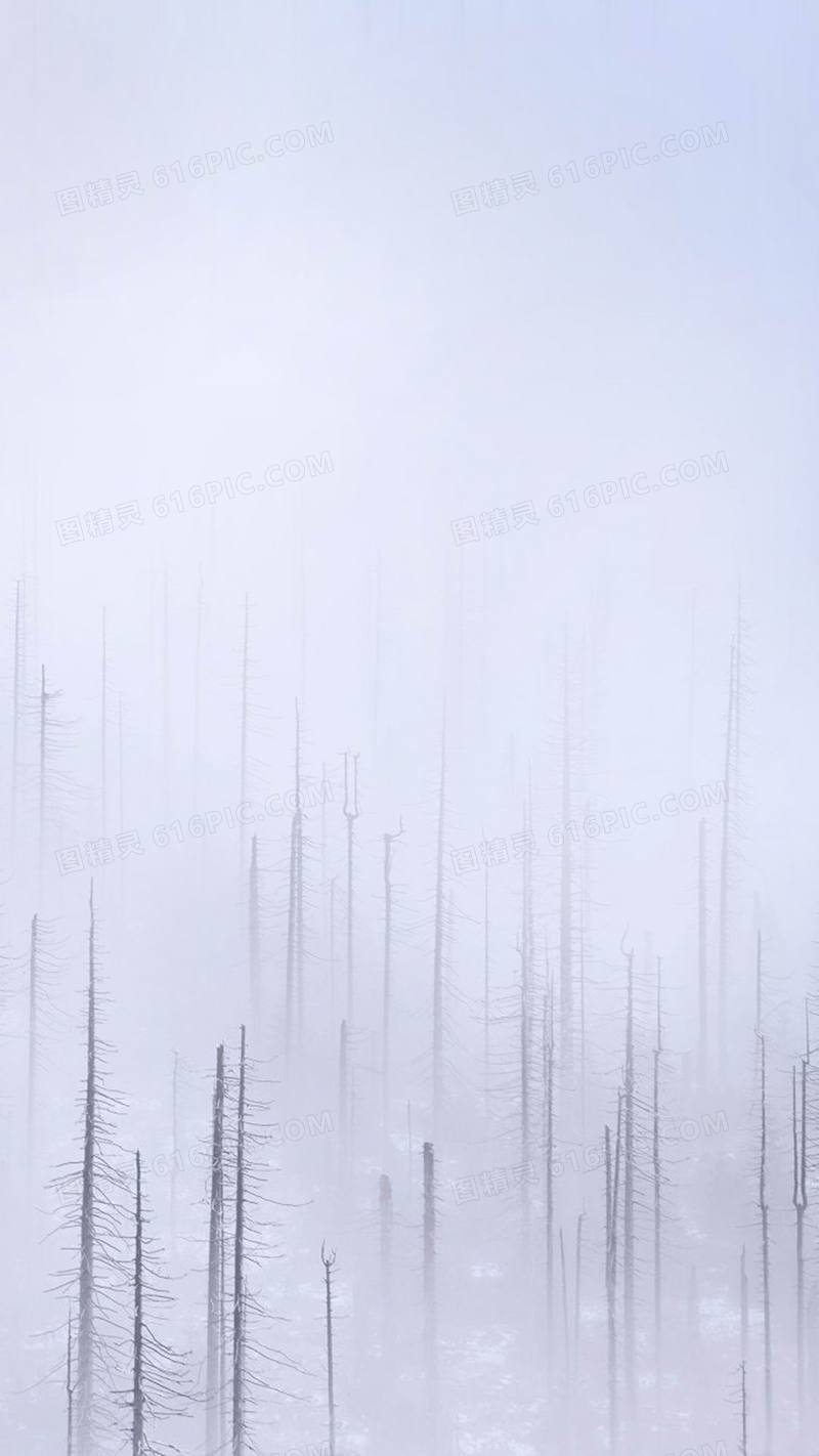 大雪H5背景