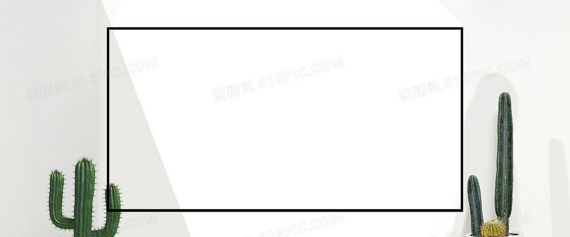 冬季 仙人掌 相框 简洁