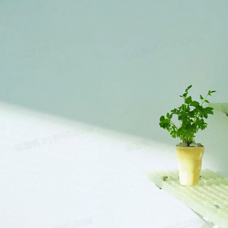 单独淡雅一支鲜花图