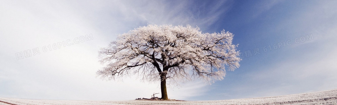 雪景背景图
