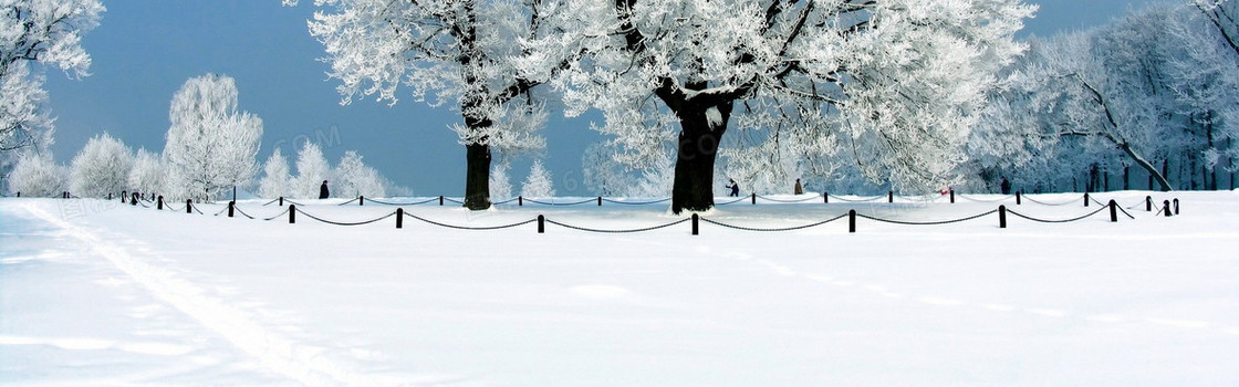 冬天 雪地 背景图