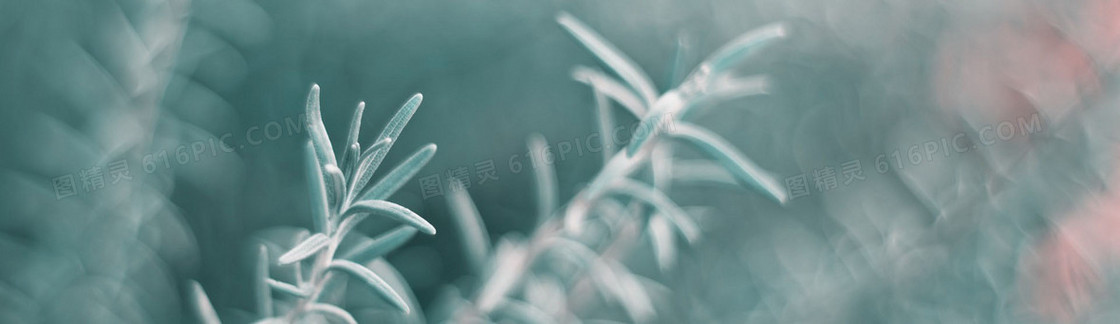 创意时尚背景