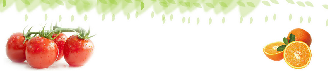 蔬菜网站背景banner　