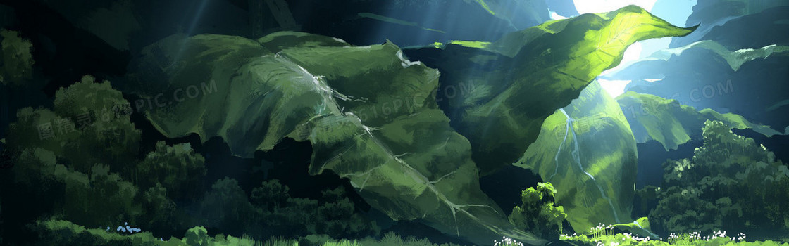 摄影背景