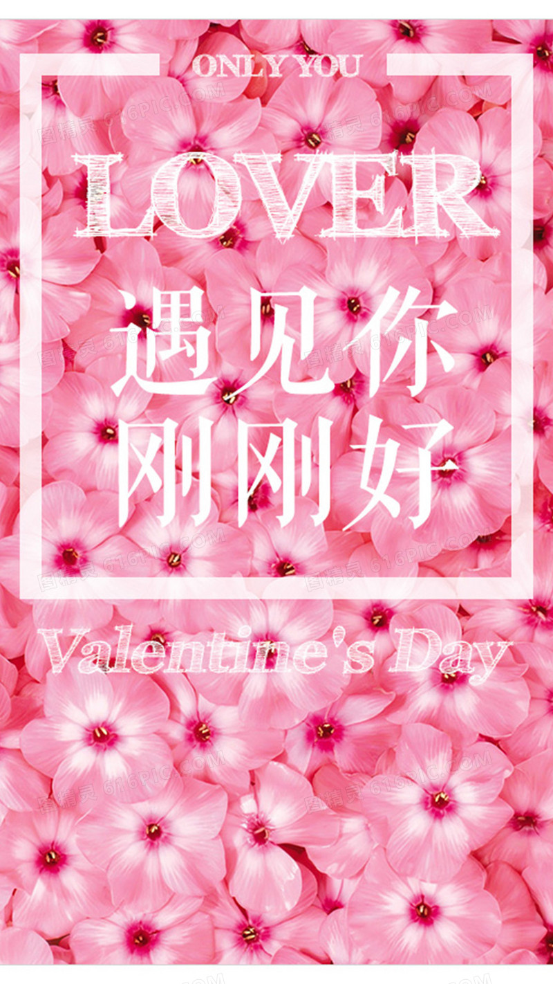粉红色玫瑰情人节背景图
