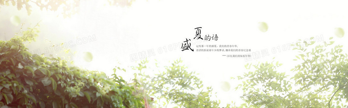 夏季小清新女装banner