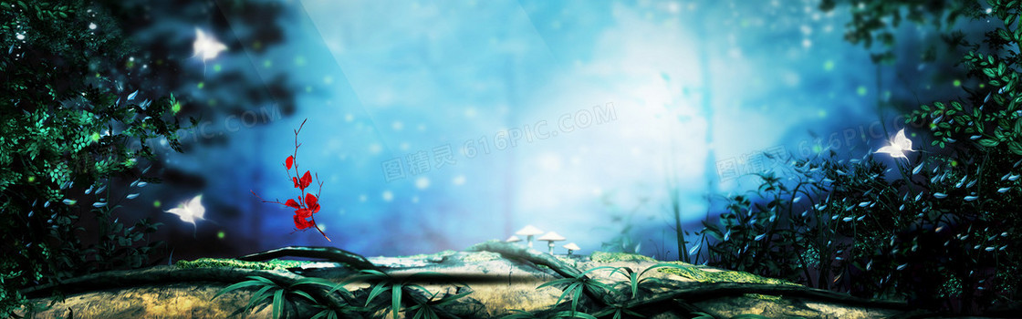banner