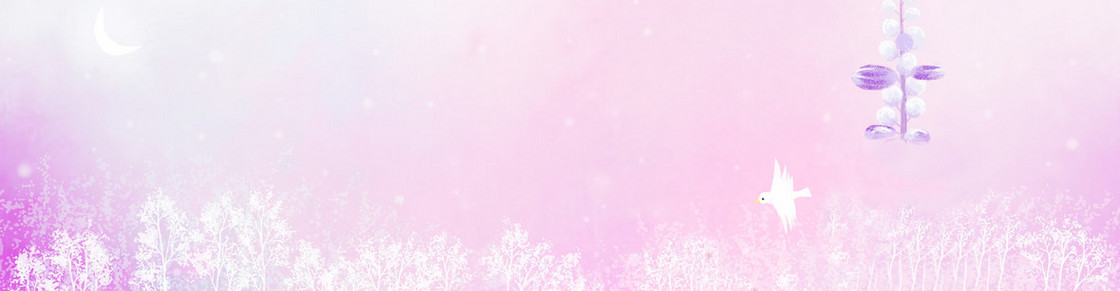 粉色 樱花  小鸟 背景 banner