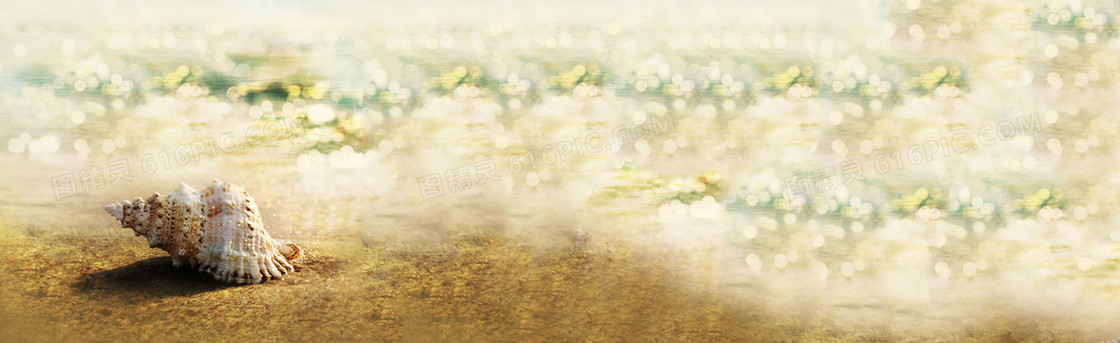 海滩海螺梦幻背景banner