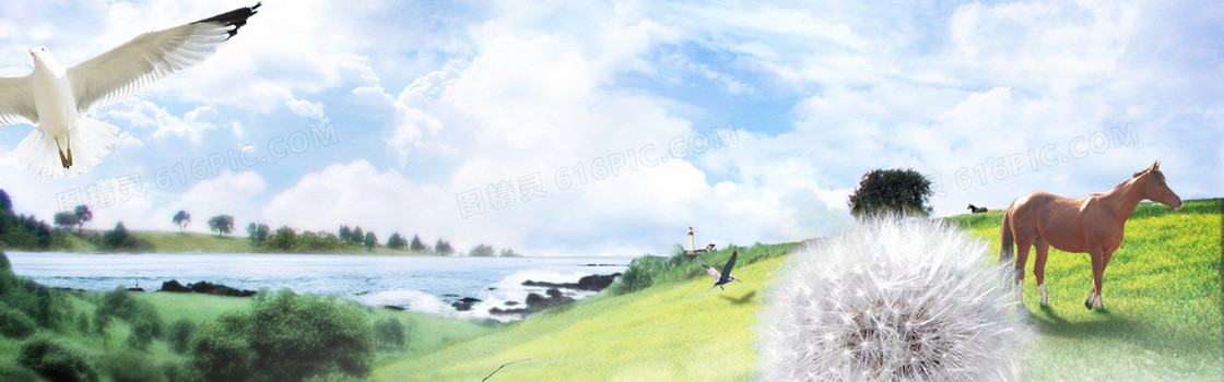 唯美海报背景
