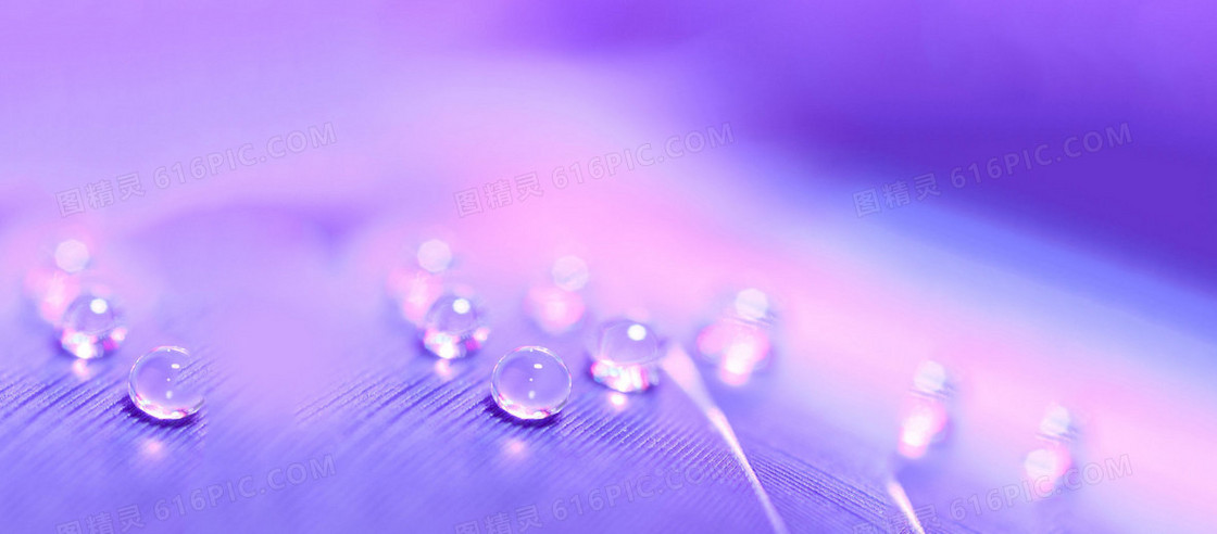 紫色梦幻水珠背景banner