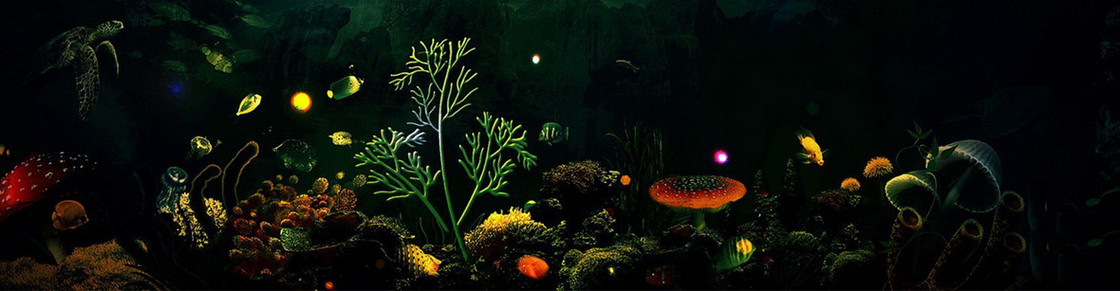 梦幻海洋
