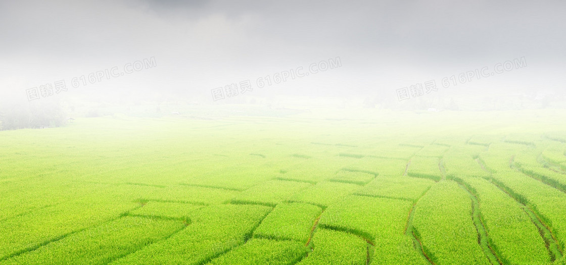广阔的梯田