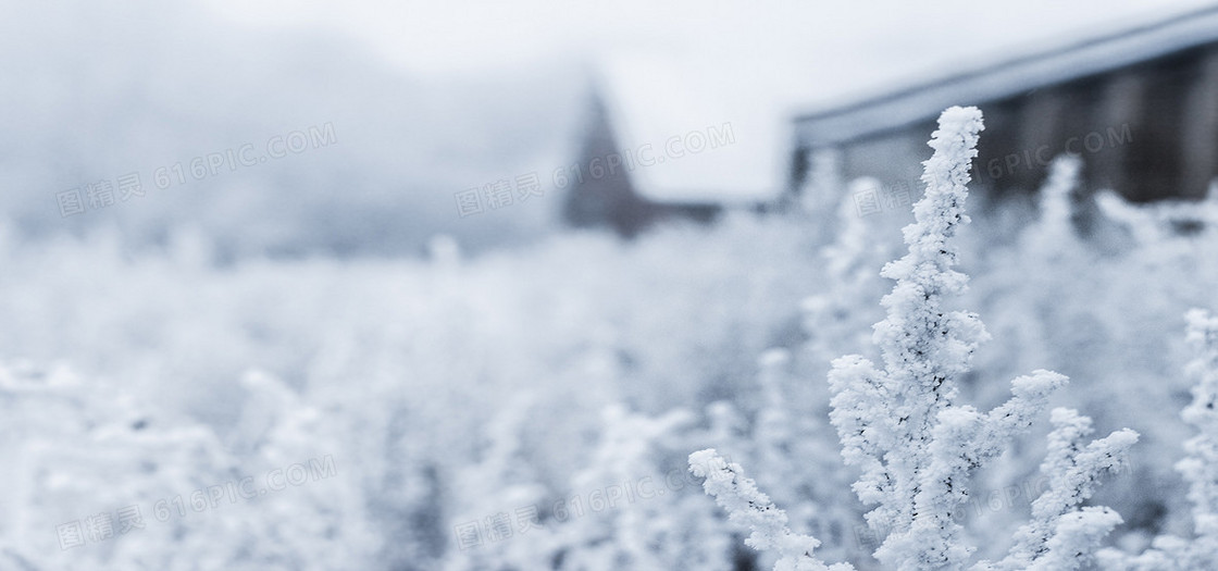 摄影结冰背景
