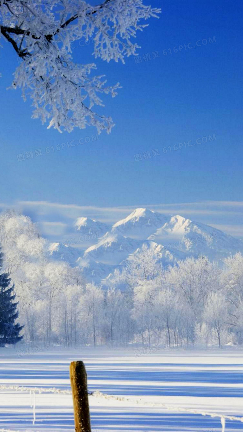 冬季的雪超清H5背景