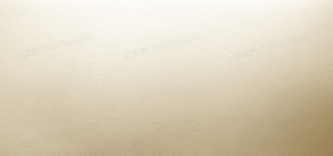 人工皮质   banner