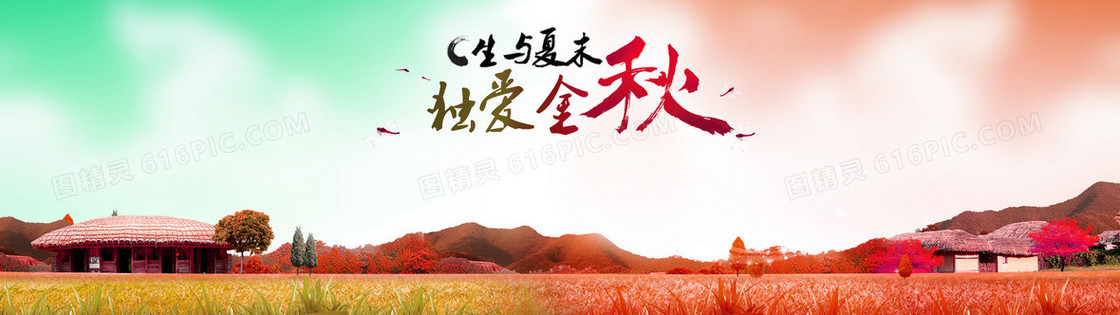 秋季背景