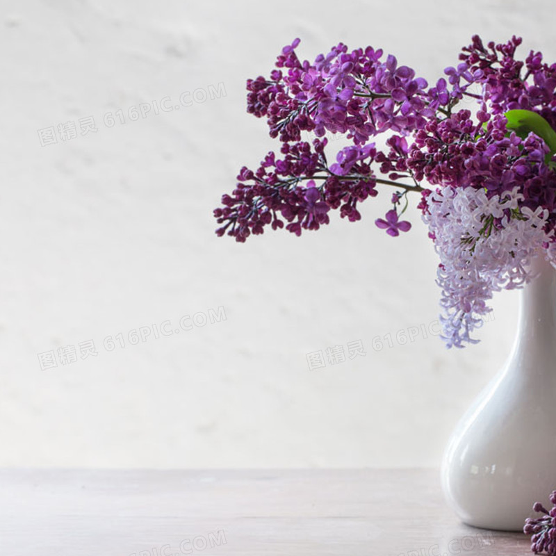 纯色墙壁紫花背景图