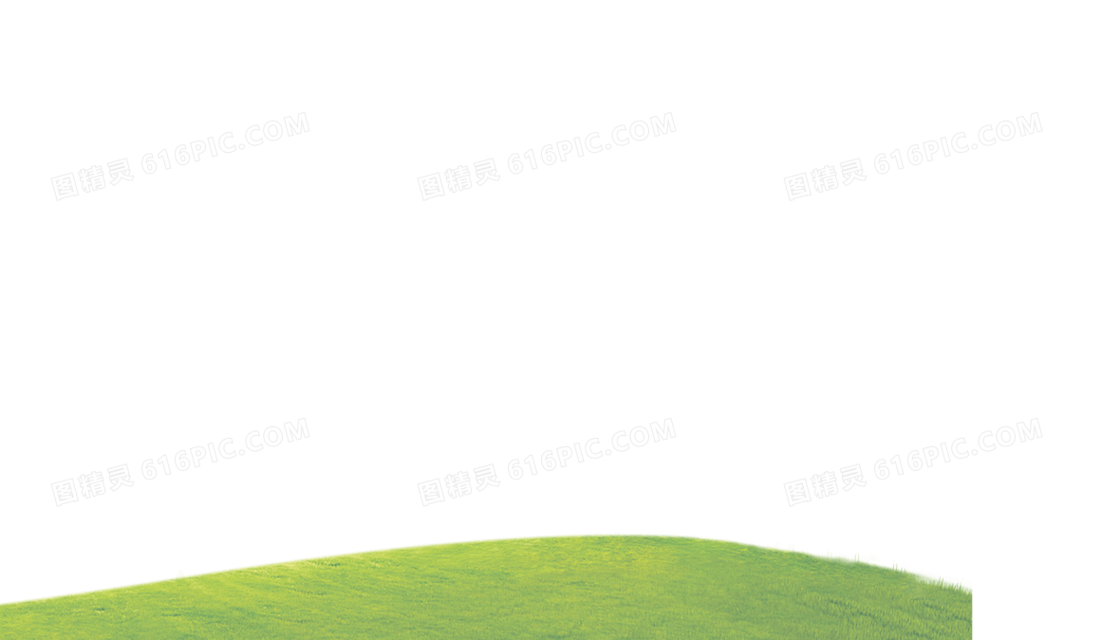 草地 草坪 春天 春天背景 光 光晕 绿色家园