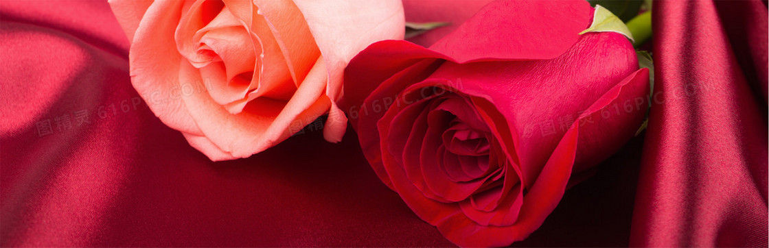 情人节红玫瑰背景