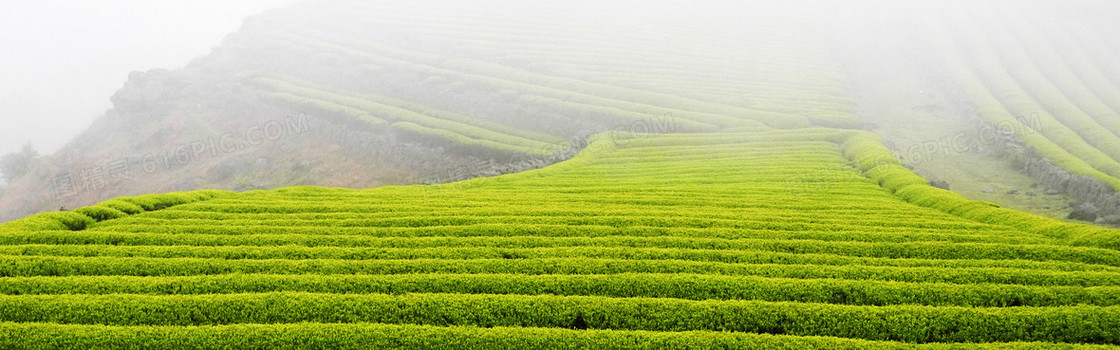 淘宝背景