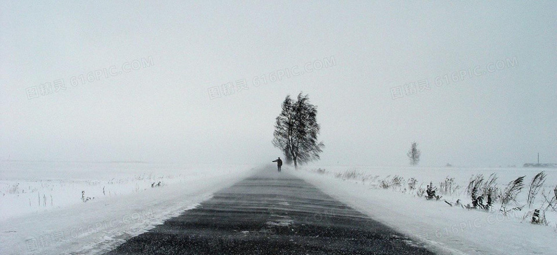 风景天空白雪路树背景