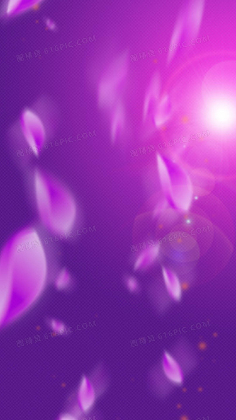 紫色浪漫花瓣H5背景