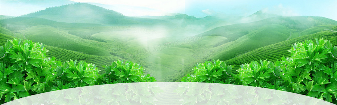 天猫新品尝鲜清新自然绿色茶叶食品海报背景