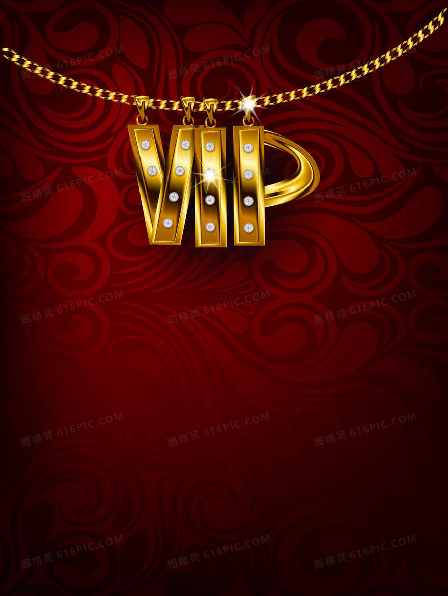 VIP会员