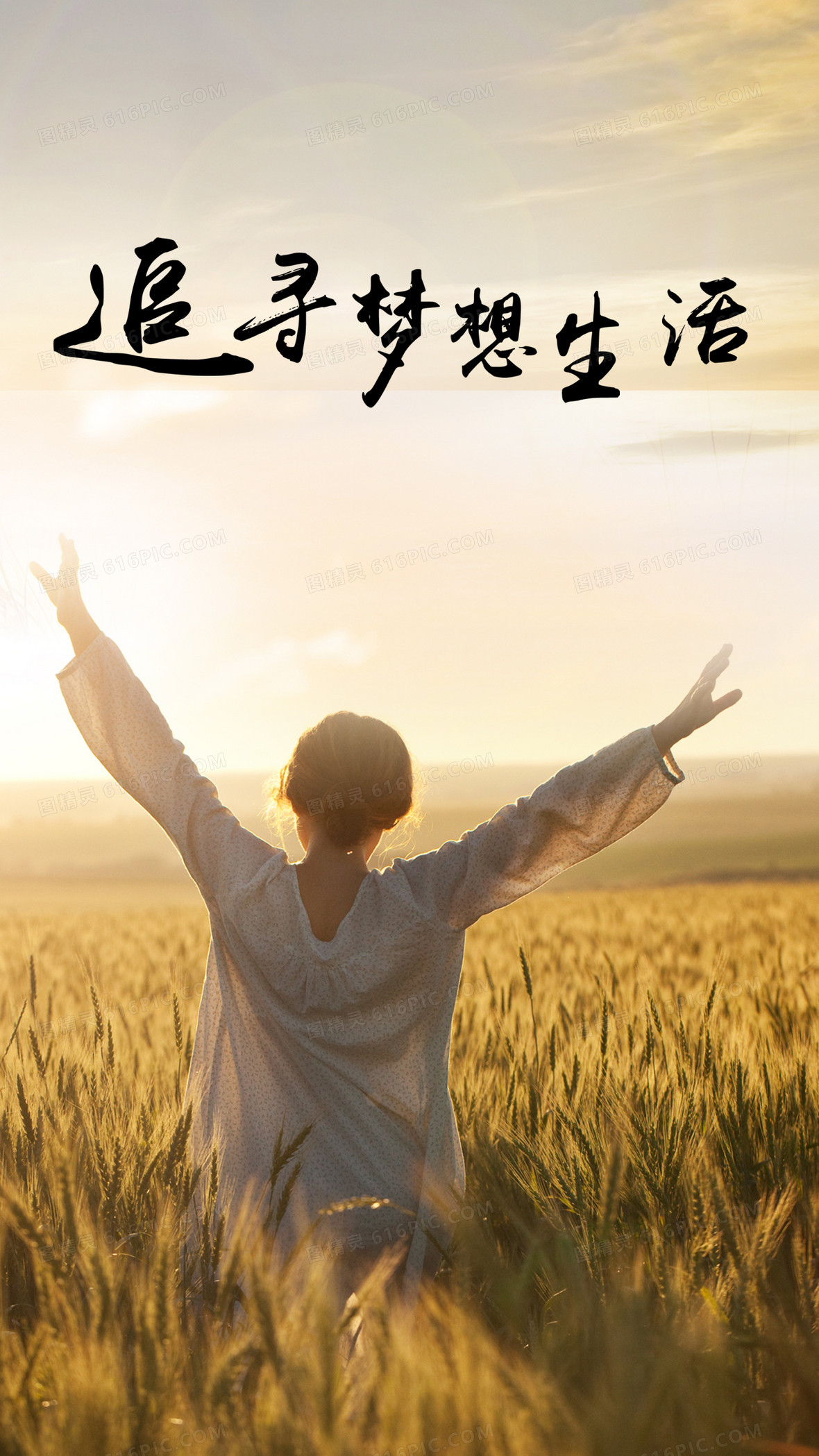追寻梦想h5背景背景图片下载_1242x2208像素jpg格式_编号vo8f8deez_图
