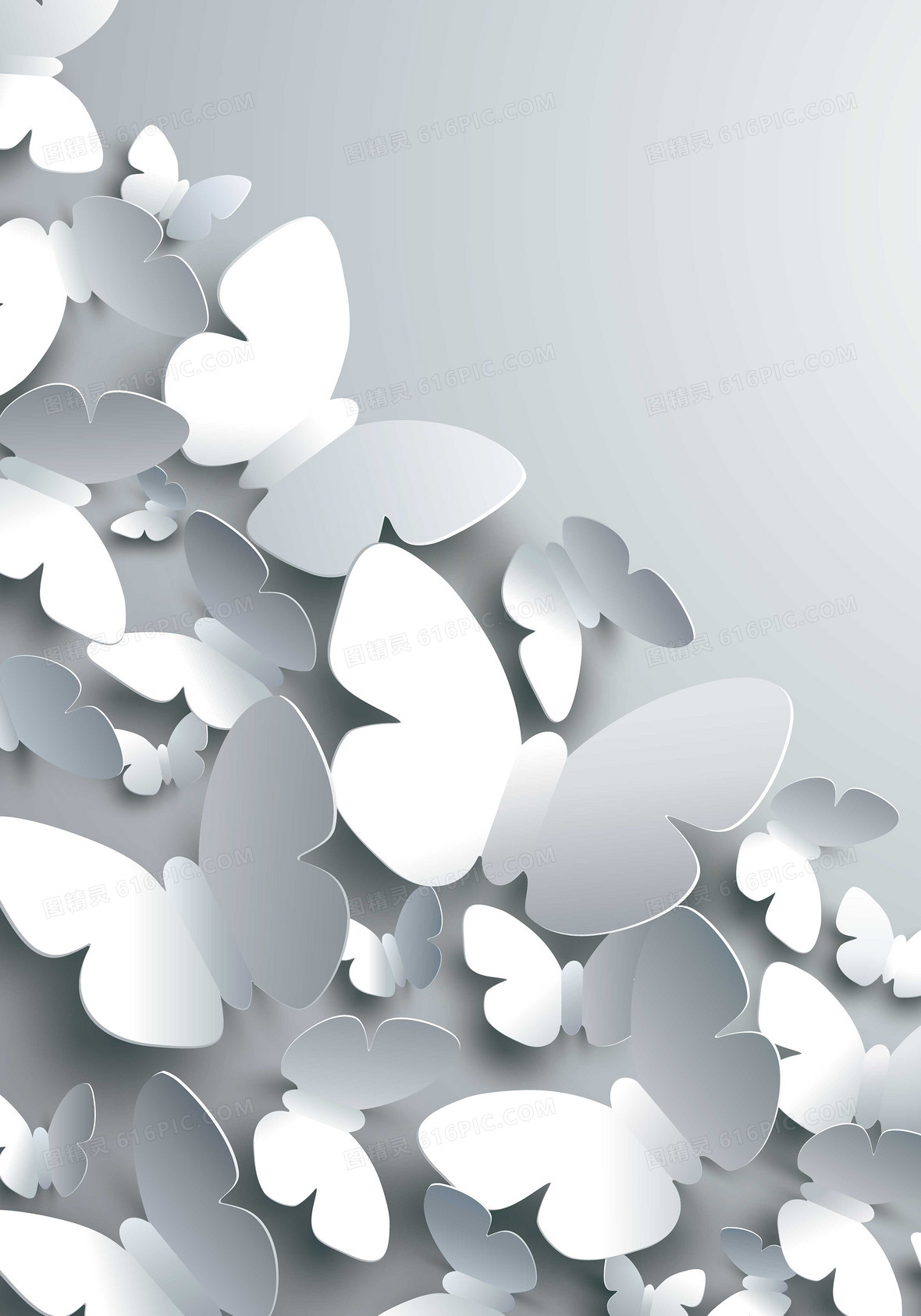 蝴蝶背景图片下载_免费高清蝴蝶背景设计素材_第22页_图精灵