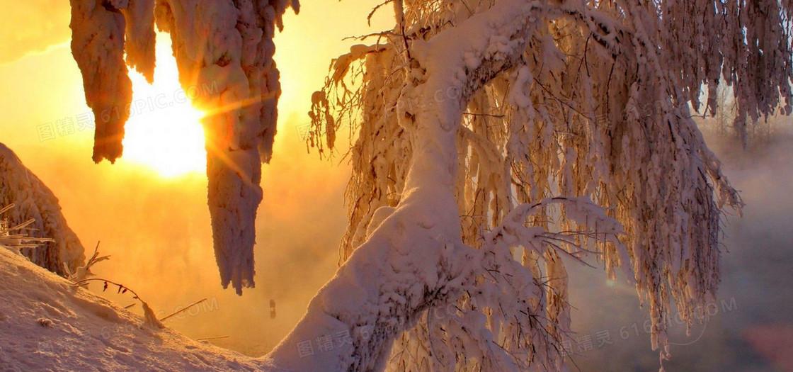 阳光雪地背景
