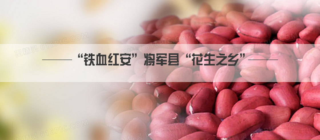 食品背景