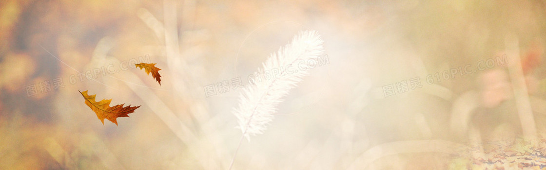 秋季秋装背景banner　
