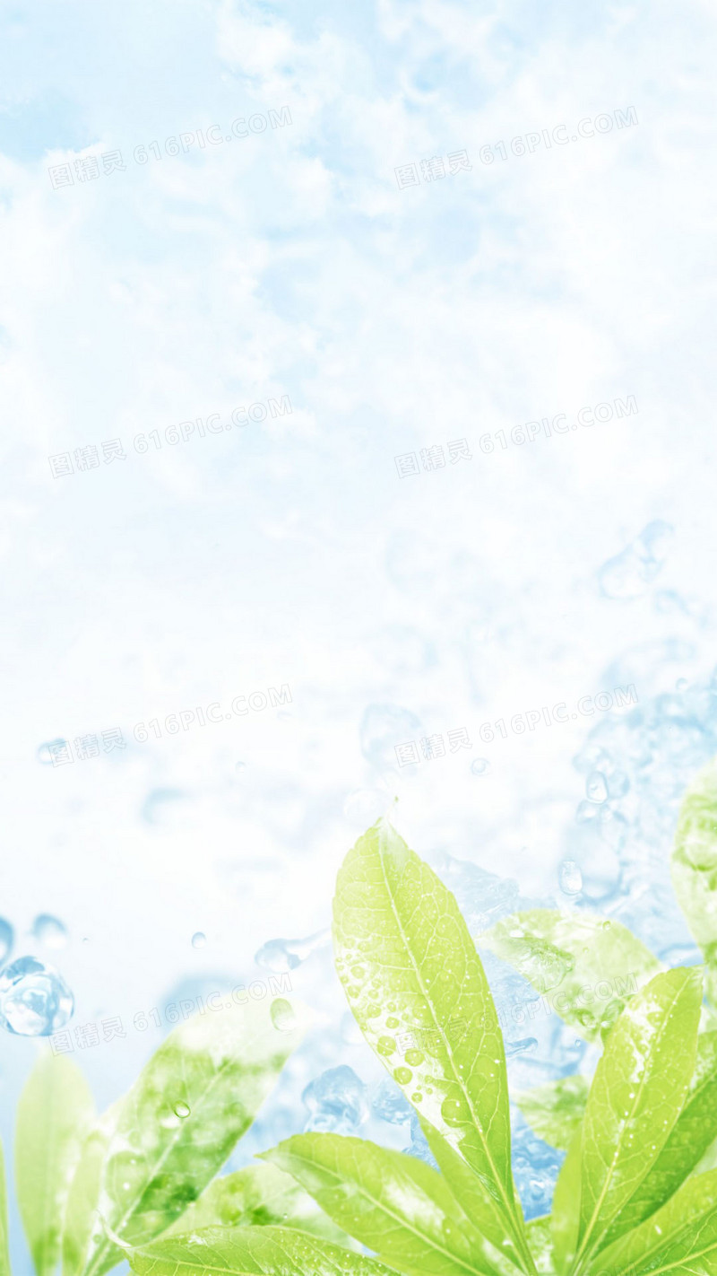 水和树叶融为一景