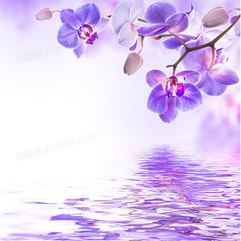梦幻紫色背景图