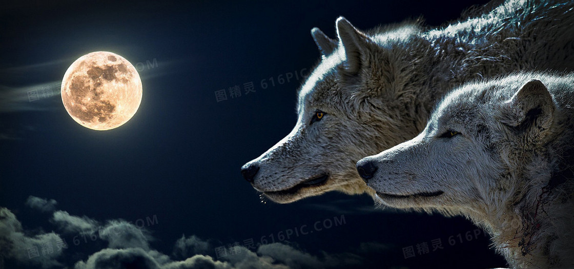 夜景照片