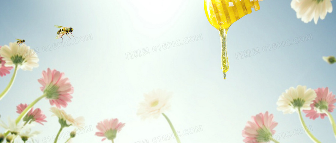 淘宝 bunner taobao