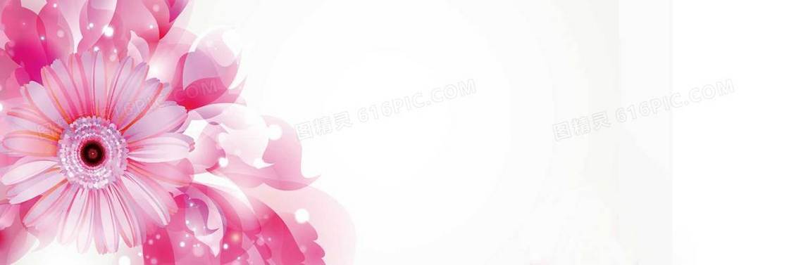 淘宝护肤高清花卉唯美背景banner