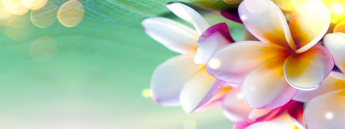 唯美花朵面膜海报
